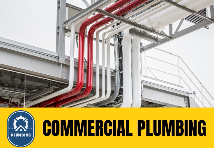 commercial plumbing Cuxton