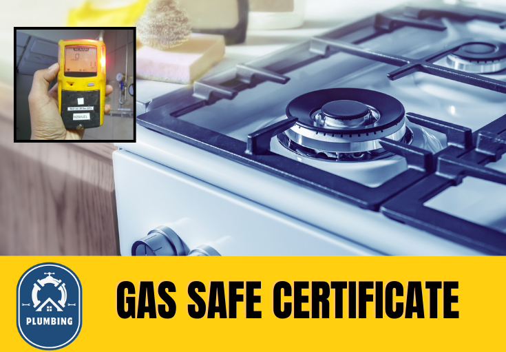 gas safe certificate Cuxton