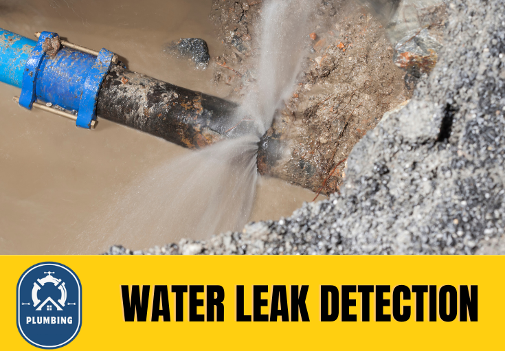 leak detection Cuxton