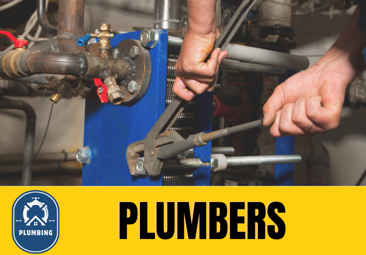  plumber Snodland